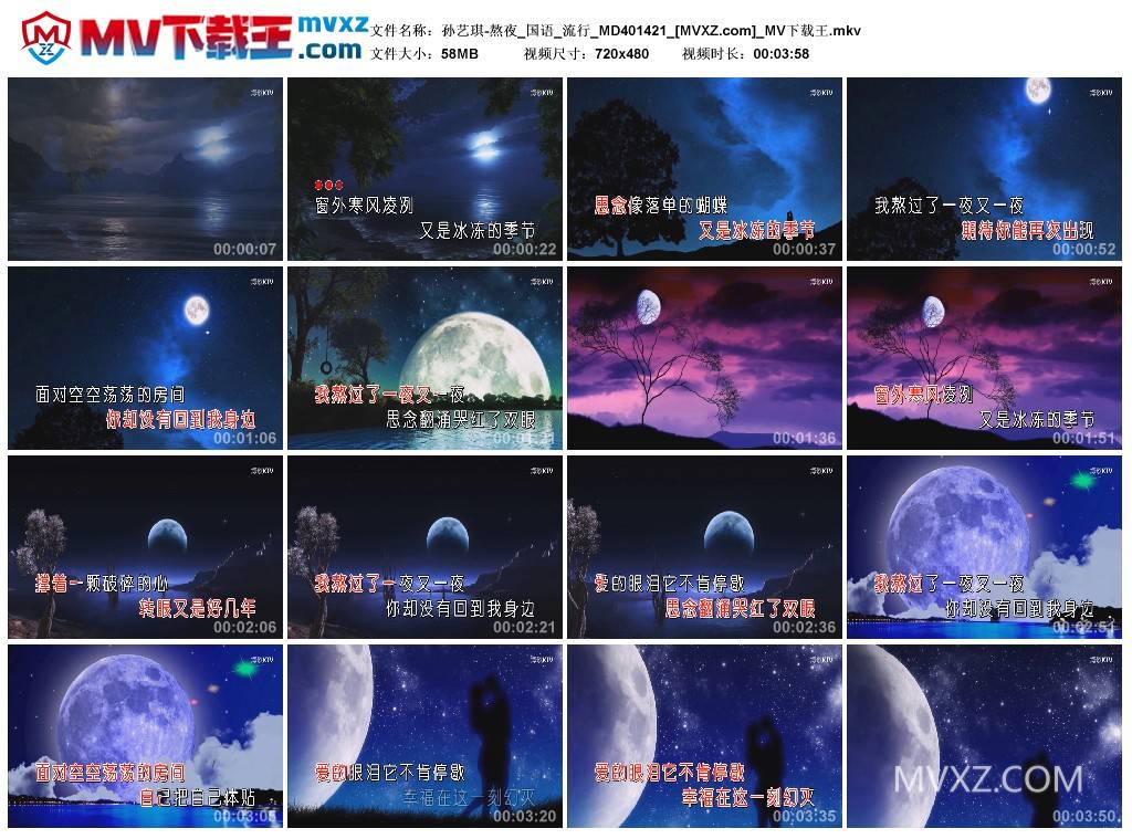 孙艺琪-熬夜_国语_流行_MD401421